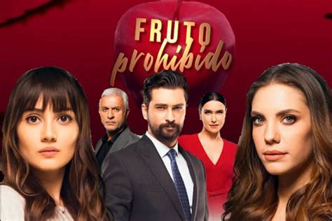 novelas turcas en español completas gratis|telenovelas turcas gratis capitulos completos.